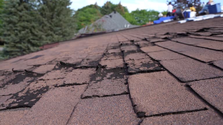 Best Storm Damage Roof Repair  in Beavercreek, OR